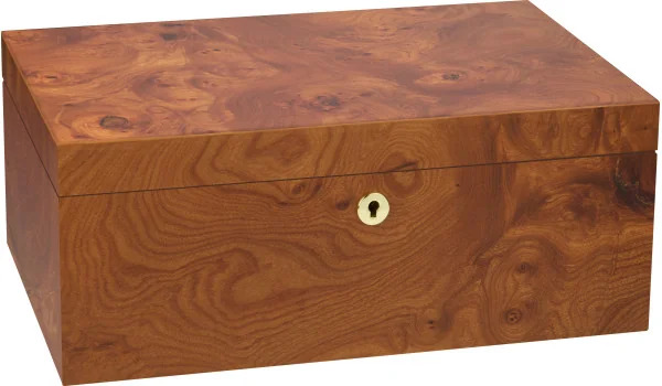Umidificador adorini Elm Burl Specially Selected Grande